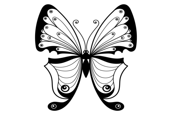 Decorative Moth with Black Ornament Wing: A Designer's Deep Dive