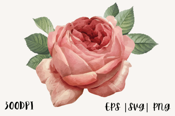 Decorative Watercolor Rose Illustration: Unlocking Creative Potential