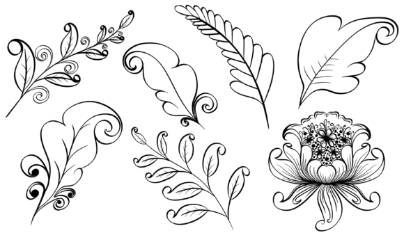Elegant Flourishes: A Designer's Guide to Decorative Elements