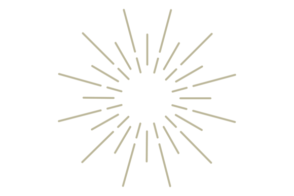 Embodying Heritage: The Sun Light Decorative Vintage Logo