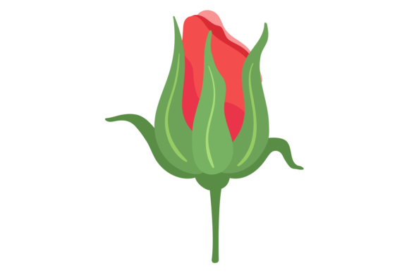 Red Rose Bud: Floral Design Decorative E for Elegant Branding