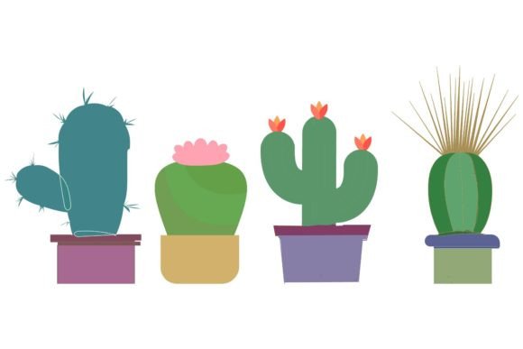 Styling Spaces with Plant Cactus Decorative Art