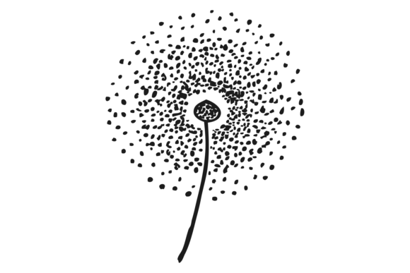 The Natural Charm of a Decorative Dandelion Sketch
